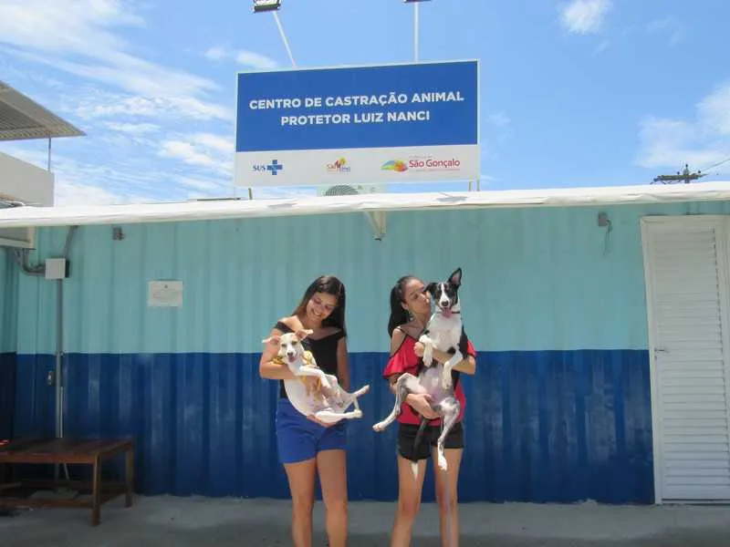 Imagem ilustrativa da imagem Centro de Castração de SG possui mais de 900 animais cadastrados