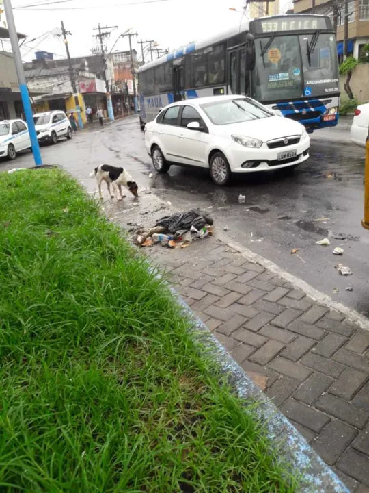 Perna é encontrada próximo à Praça do Barro Vermelho