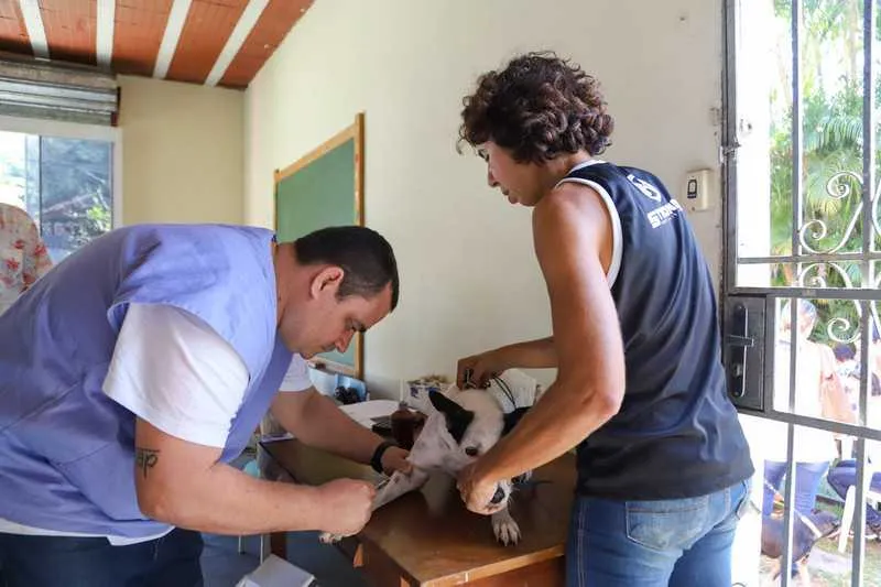 Imagem ilustrativa da imagem Maricá abre inscrição para castração de cães e gatos nesta quinta-feira (20)