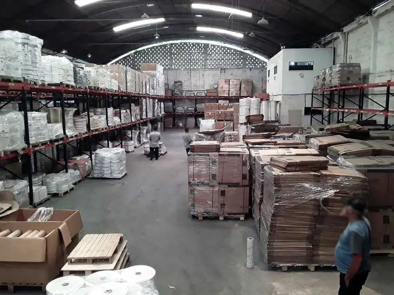 Pulmão Limpo foi o nome dado a ação 