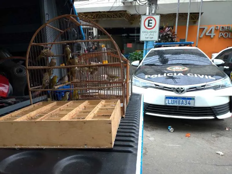 Imagem ilustrativa da imagem Policiais apreendem caranguejos e passarinhos em feiras de São Gonçalo