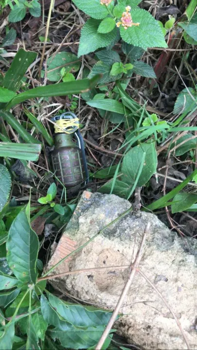O material arrecadado foi encaminhado para a sede da Polícia Federal, na Praça Mauá.

