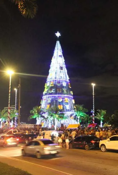 A árvore tem 66 elementos luminosos com tema natalino e 600 metros de neon azul.