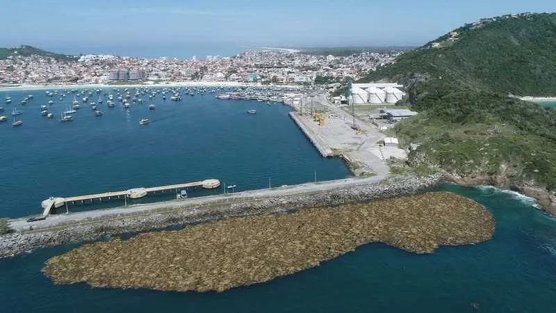 Vegetação espalhada nas praias de Arraial do Cabo, no Rio de Janeiro