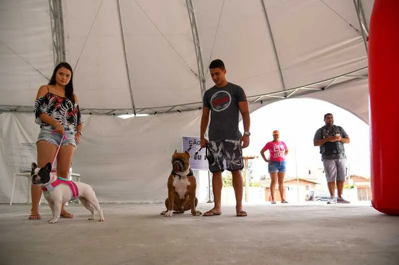 Esse é o 1º evento voltado para cães e gatos 