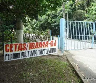 Imagem ilustrativa da imagem Rio pode ganhar um novo centro de recuperação de animais
