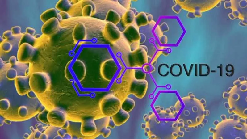 Imagem ilustrativa da imagem Coronavírus não foi feito em laboratório, diz estudo