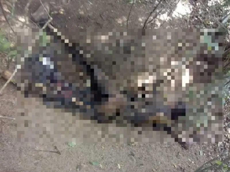 Um segundo corpo foi encontrado carbonizado neste domingo (1) em Araruama 