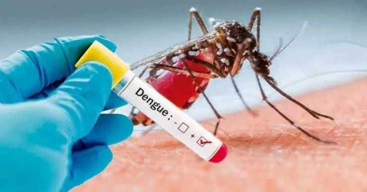 Imagem ilustrativa da imagem Estado do Rio registra cerca de 500 casos prováveis de dengue em 2020