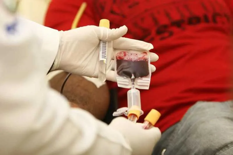 Imagem ilustrativa da imagem Doações de sangue podem ser agendadas em hospital de Niterói
