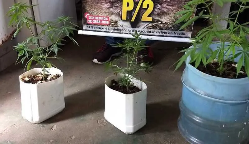 As plantas e os documentos foram encaminhados para a 126ª Delegacia de Polícia