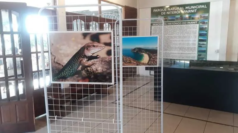Imagem ilustrativa da imagem Exposição fotográfica no Parque da cidade mostra paisagens naturais da Serra da Tiririca