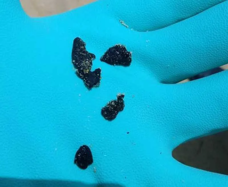 Foram encontrados 300 gramas do material 