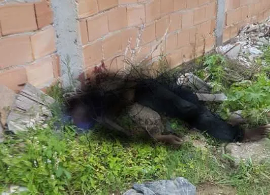 O caso está sendo investigado pela 126° DP