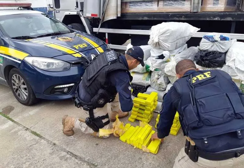 Homem é preso com meia tonelada de maconha em caminhão na estrada 