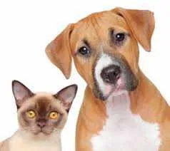  As senhas serão entregues por ordem de chegada
