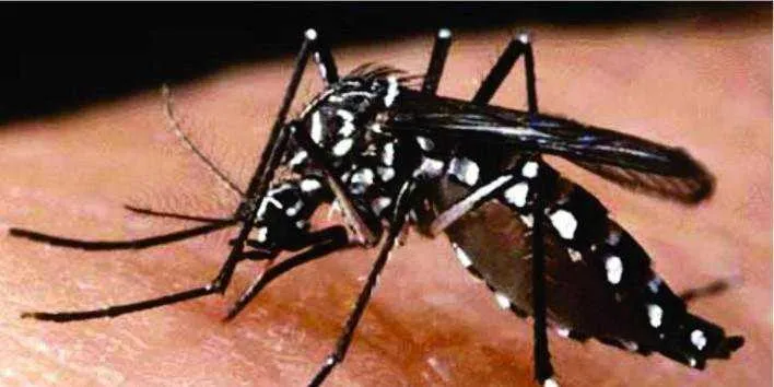  A iniciativa alerta sobre os riscos das doenças