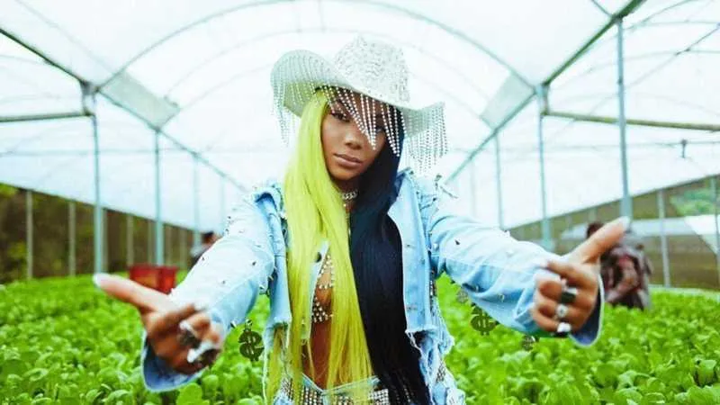 Ludmilla lança clipe da música "Verdinha" e causa polêmica 