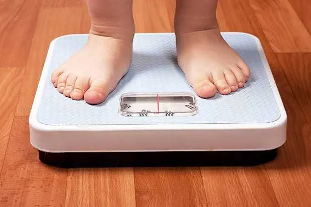 Imagem ilustrativa da imagem Itaboraí divulga calendário de pesagem para beneficiários do Bolsa Família