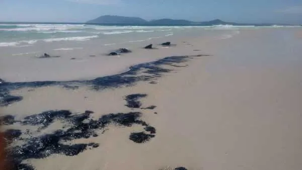 Banhistas confundem rochas com manchas de óleo na Praia do Forte 
