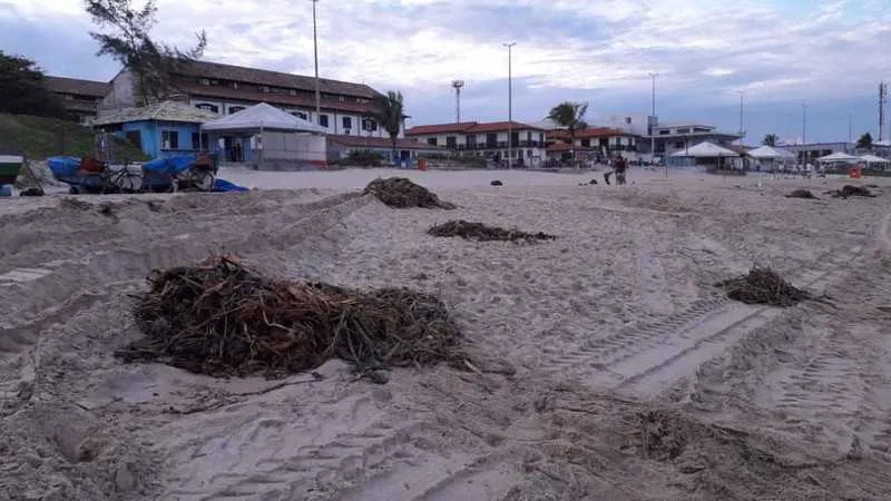 A Seas acredita haver indícios de crime ambiental