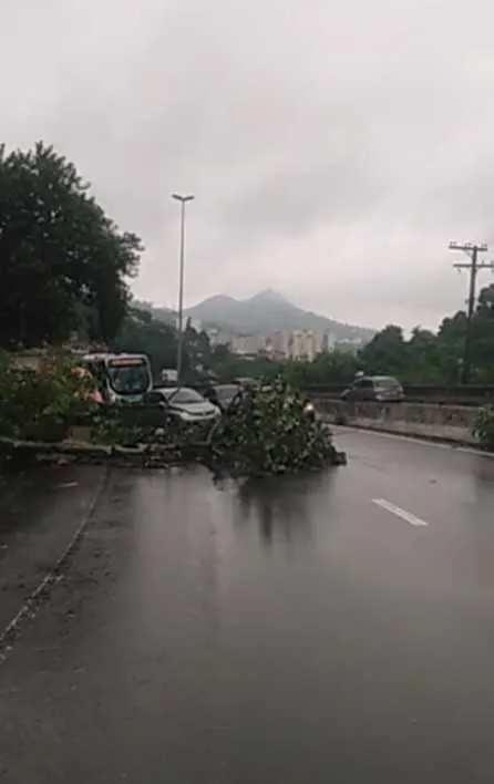 Ninguém ficou ferido com o desabamento