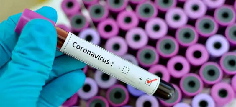 Imagem ilustrativa da imagem Empresa norte-americana anuncia primeira vacina contra o novo coronavírus
