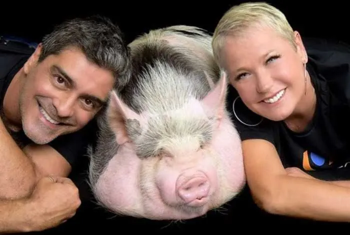 A Rainha dos Baixinhos sempre lutou pela defesa dos animais 