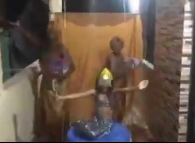A pequena apresentação também representou a famosa sereia  da Viradouro