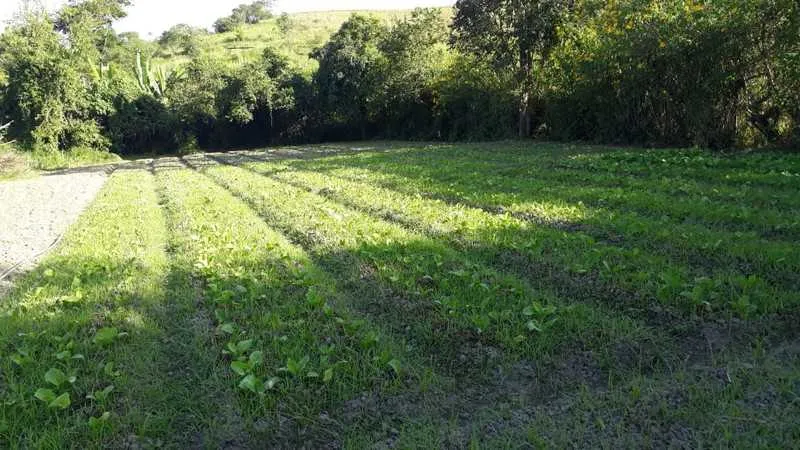 A concessão é de até R$ 10 mil reais por produtor
