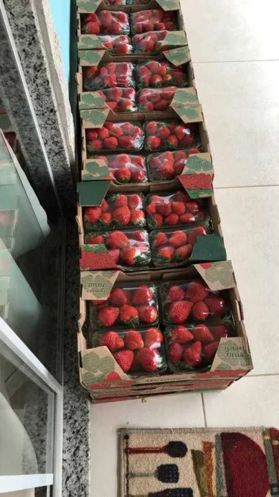 Objetivo é que pequenos produtores rurais consigam escoar suas produções diante das restrições com a pandemia do coronavírus
