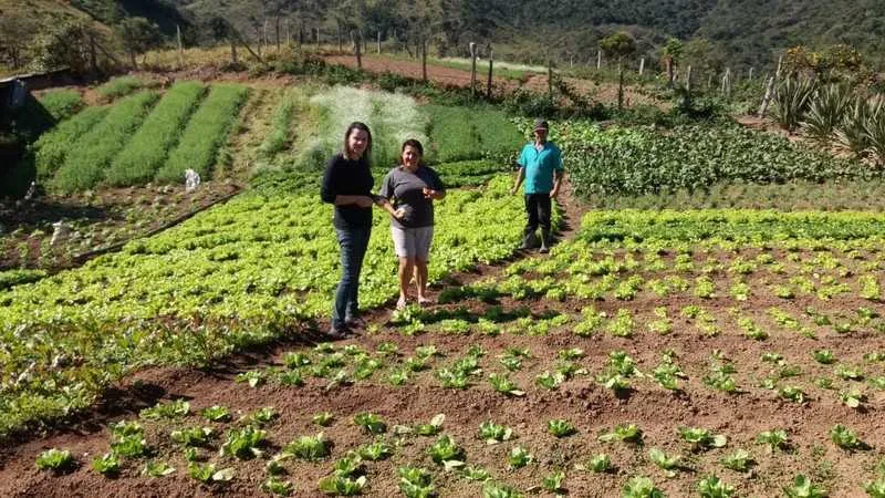 Imagem ilustrativa da imagem Secretaria de Agricultura trabalha para garantir a compra dos produtos da merenda escolar