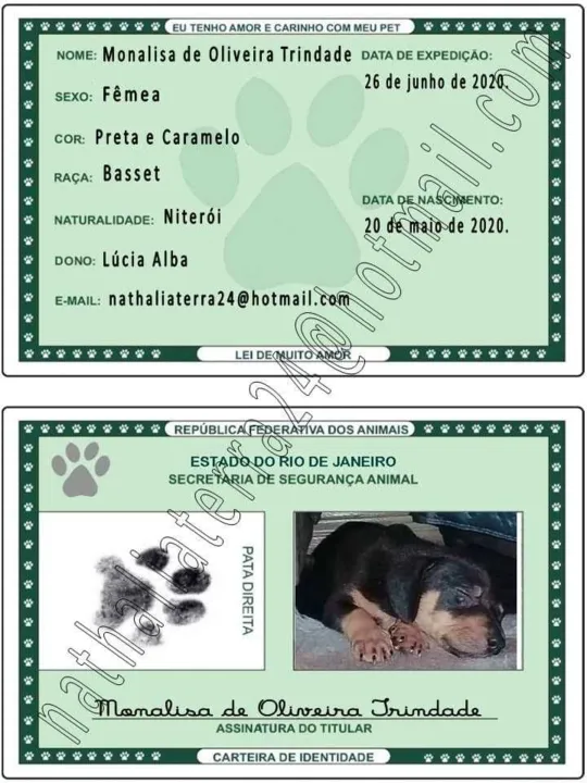 Imagem ilustrativa da imagem Estudante usa criatividade e vende 'documentos para pets' durante pandemia