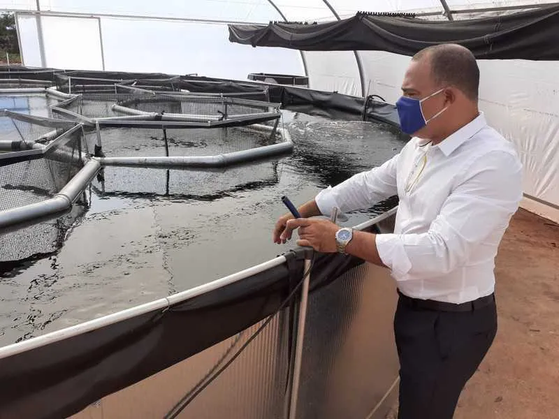 De acordo com Helvio Costa, cada tanque tem capacidade de gerar 1 tonelada de peixes