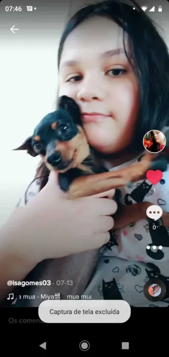 O animal é dócil e de pequeno porte