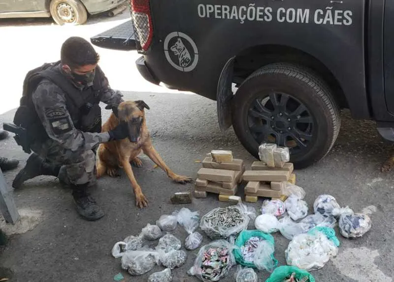 Cães ajudaram os policiais na caça ao material entorpecente