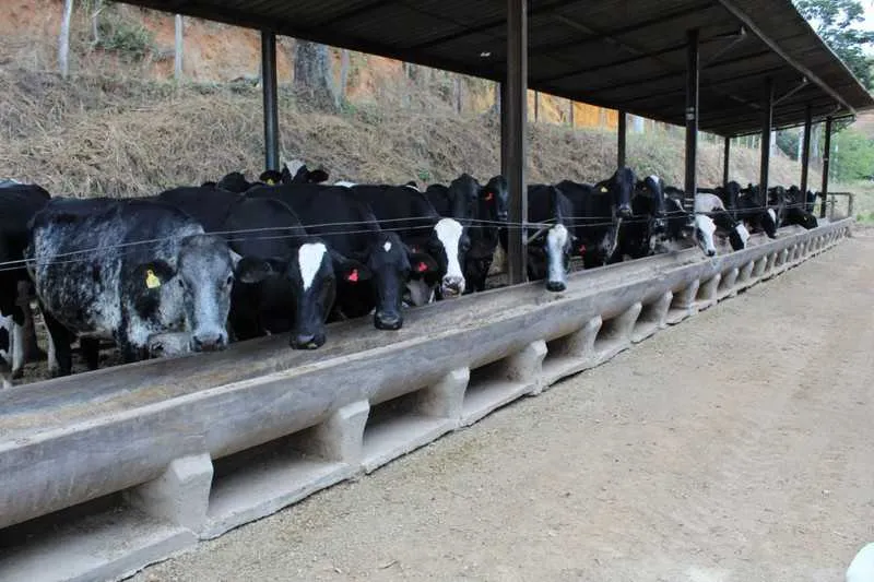 Atividade é presente em 88 das 92 cidades fluminenses 