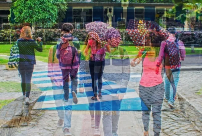 Imagem ilustrativa da imagem Enade 2019 avalia 86% das graduações da UFF com “muito bom” e “ótimo”