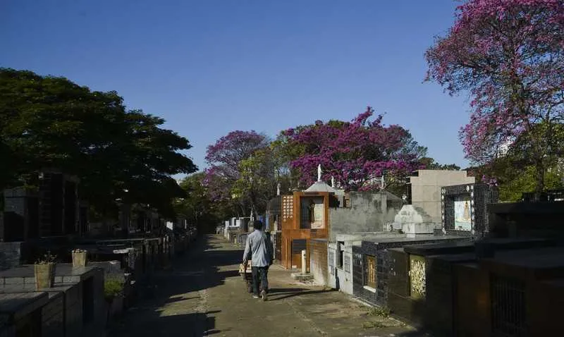 São Paulo se mantém como epicentro da pandemia no país, concentrando o maior número de mortes (7.532