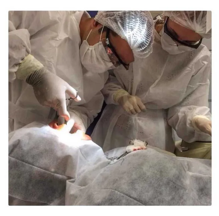 O dentista realiza diversos tratamentos em seu consultório