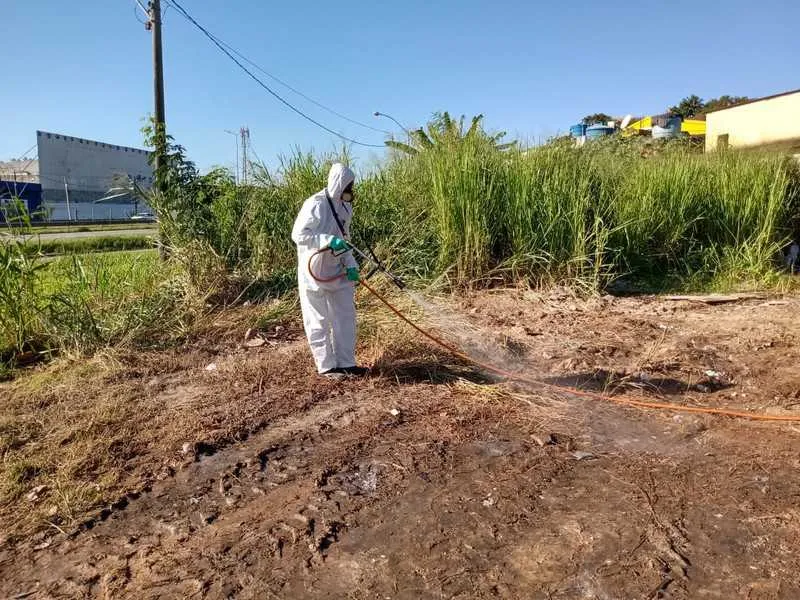 Imagem ilustrativa da imagem Prefeitura sanitiza locais que receberam descarte irregular de lixo hospitalar