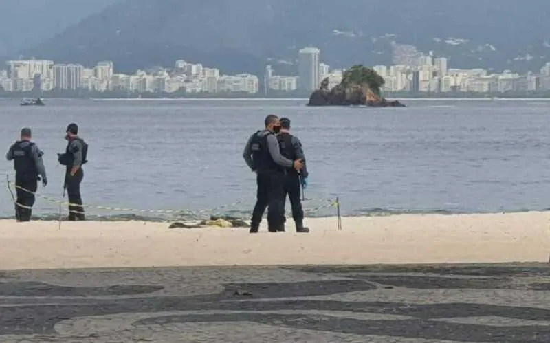 Os membros foram levados ao Instituto Médico Legal do Barreto (IML)