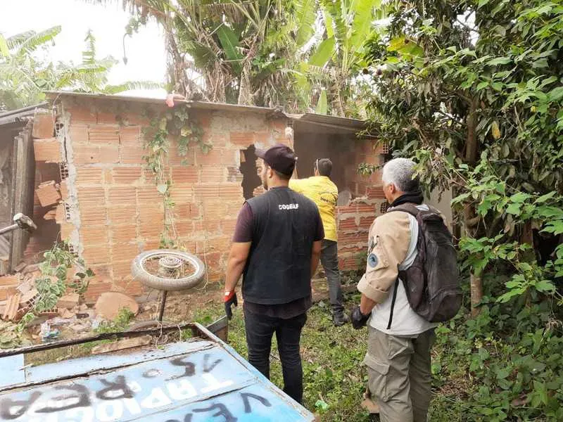 A população pode denunciar crimes de invasão a áreas ambientais
