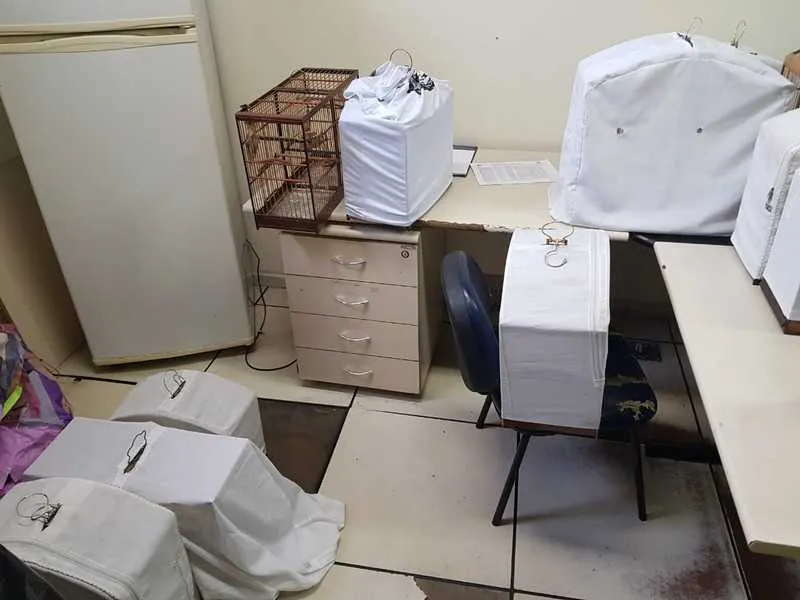 Ao todo, 27 pessoas foram autuados por crime ambiental e infração de medida sanitária preventiva 