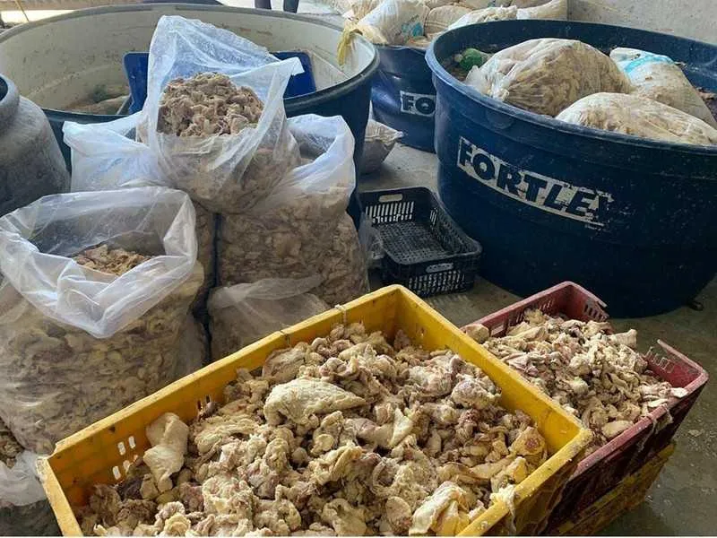 Material seria vendido na Capital e Região dos Lagos 