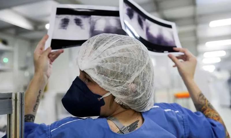 O Estado de São Paulo, o mais populoso e com maior número de contaminações, concentra 172.875 mil casos