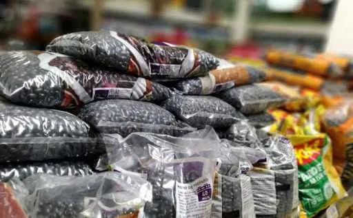 Imagem ilustrativa da imagem Alunos da rede municipal de Macaé terão Bolsa Alimentação de R$ 200 durante pandemia
