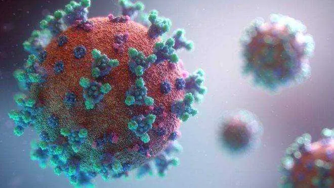 Imagem ilustrativa da imagem Brasil passa Itália em número de casos de coronavírus com quase 16 mil óbitos