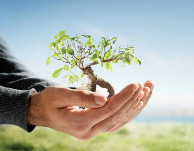  A iniciativa enaltece as práticas empresariais que contribuem para o avanço da agenda do desenvolvimento sustentável
