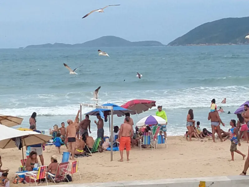 Banhista entende a mão para alimentar gaivotas na Praia do Peró